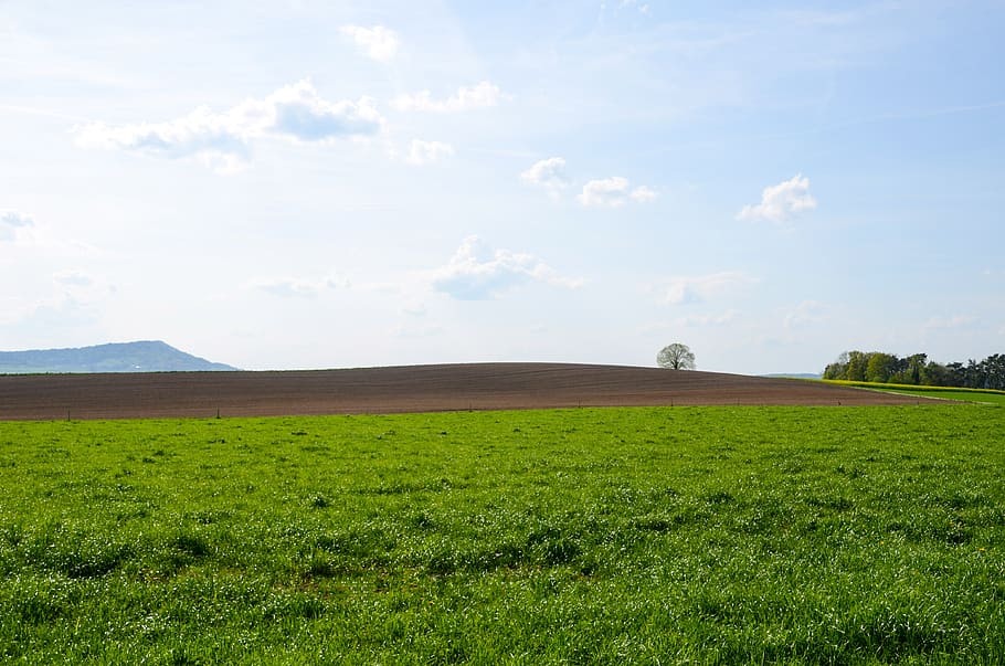 landscape, panorama, field, nature, agriculture, grass, tree, sky, meadow, sustainability
