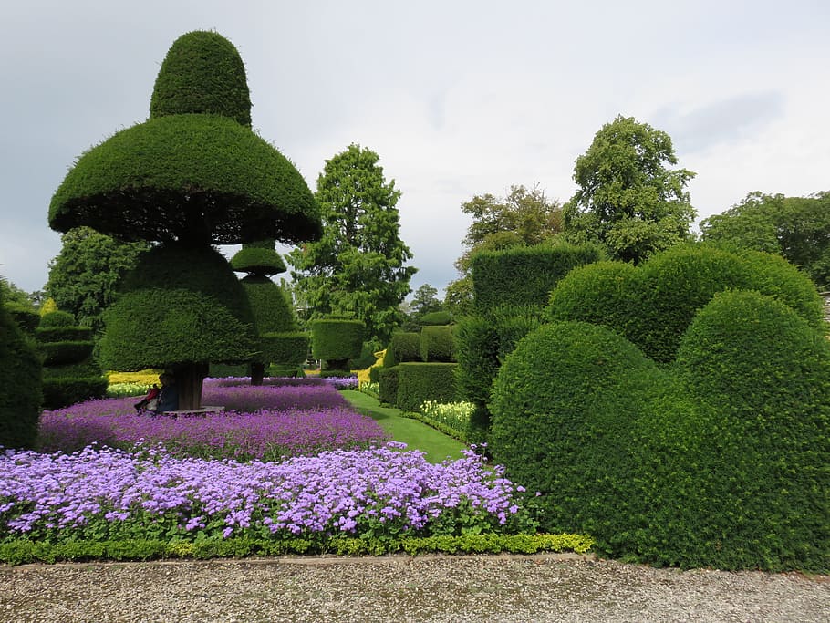 Topiary, Hedge, Formal, Garden, Shrub, formal, garden, plants, flower, landscaping, park