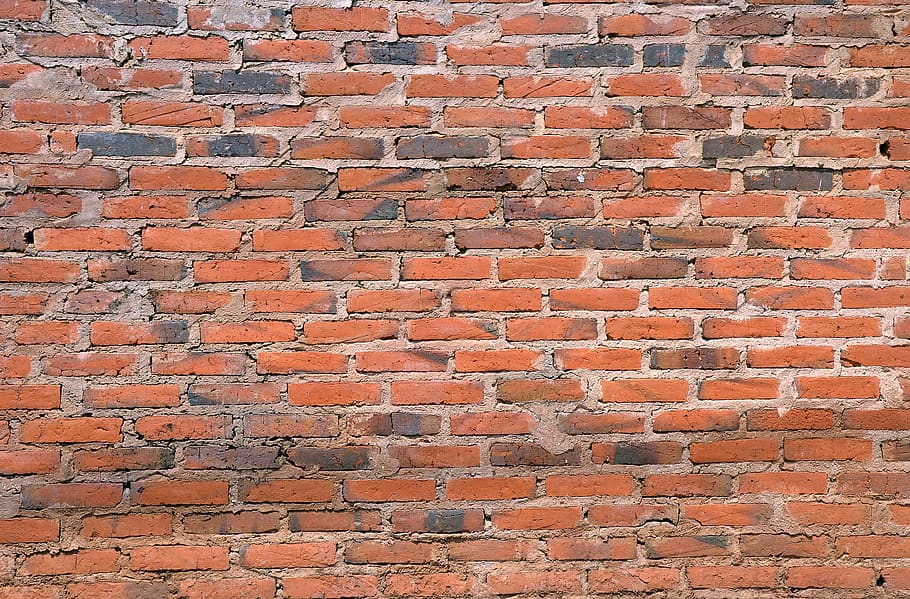wall, bricks, common, texture, common brick, brick, full frame, backgrounds, brick wall, pattern