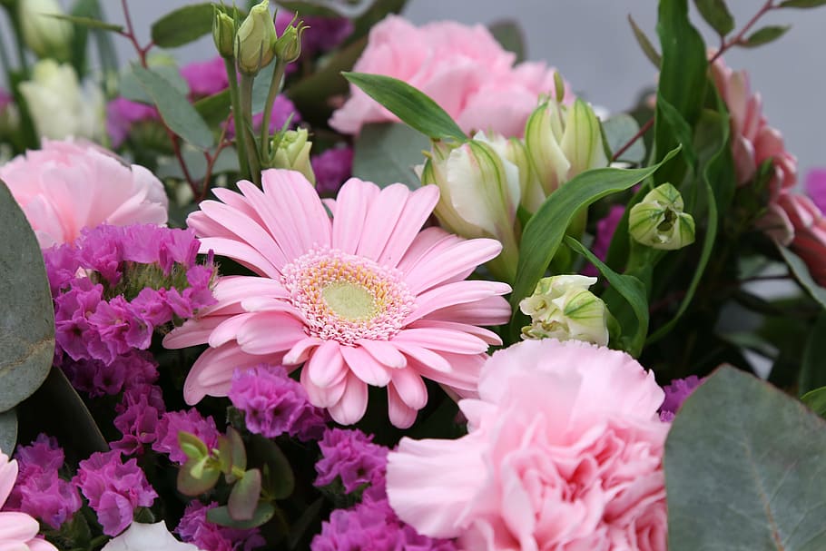 ピンク, ヒナギク, 紫, スターチス, カーネーションの花束のクローズアップ写真, 花, 花束, フラワーショップ, 装飾, 構成