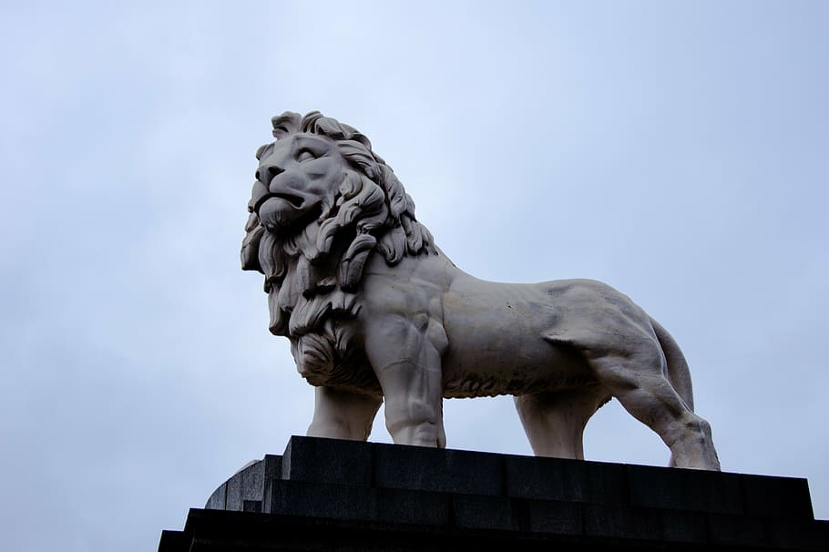 london, leon, patung, monumen, pemberani, arsitektur, Tempat terkenal, singa - Kucing, seni dan kerajinan, representasi
