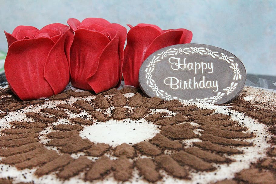happy birthday signage, tiramisu, dessert, cake, birthday, food, sweet, celebration, party, celebrate