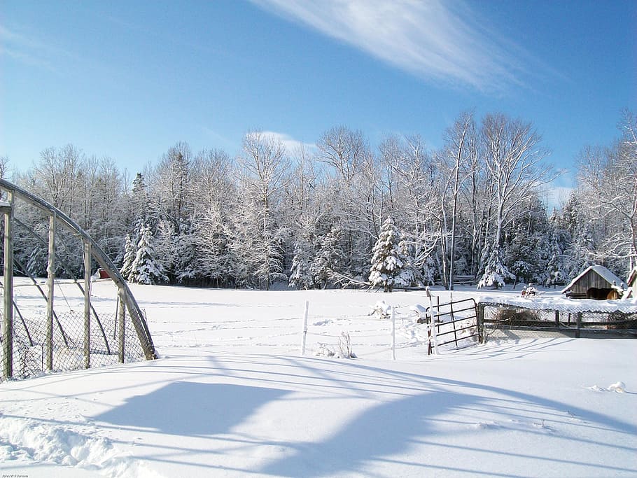 Winter, Wonderland, Landscape, winter, wonderland, countryside, snow, trees, little current, farm, cold temperature