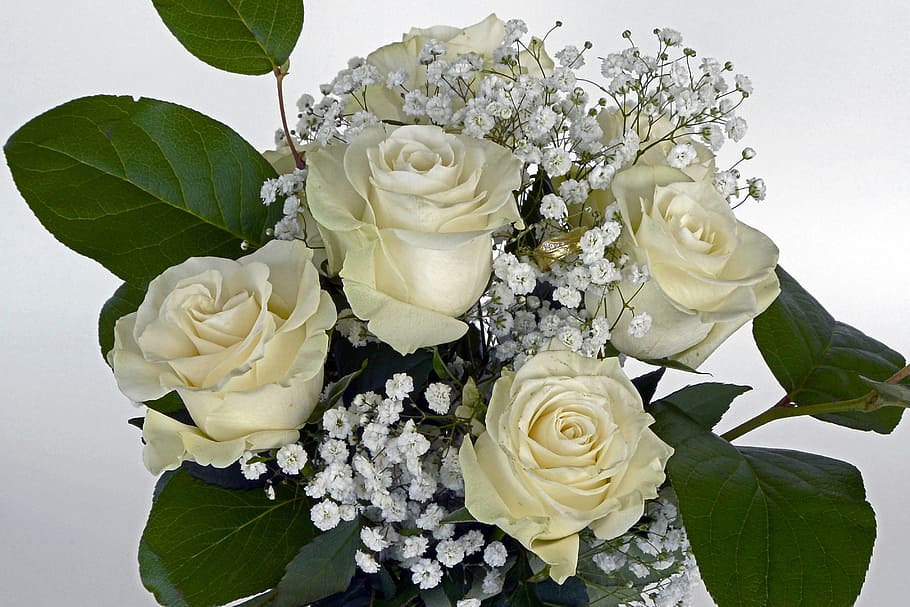 shallow, focus photography, white, flower bouquet, shallow focus, photography, white flower, roses, rose flower, flowers