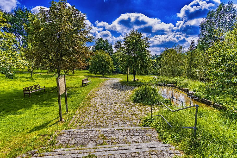 pathway between grass, park, relaxation, rest, nature, relax, landscape, summer, bank, recovery