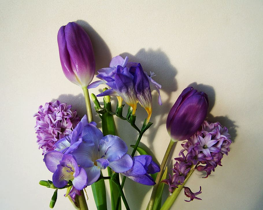 variety, purple, flower arrangement, bunch of flowers, bluish-purple colors, cut flower, flower, close-up, plant, nature