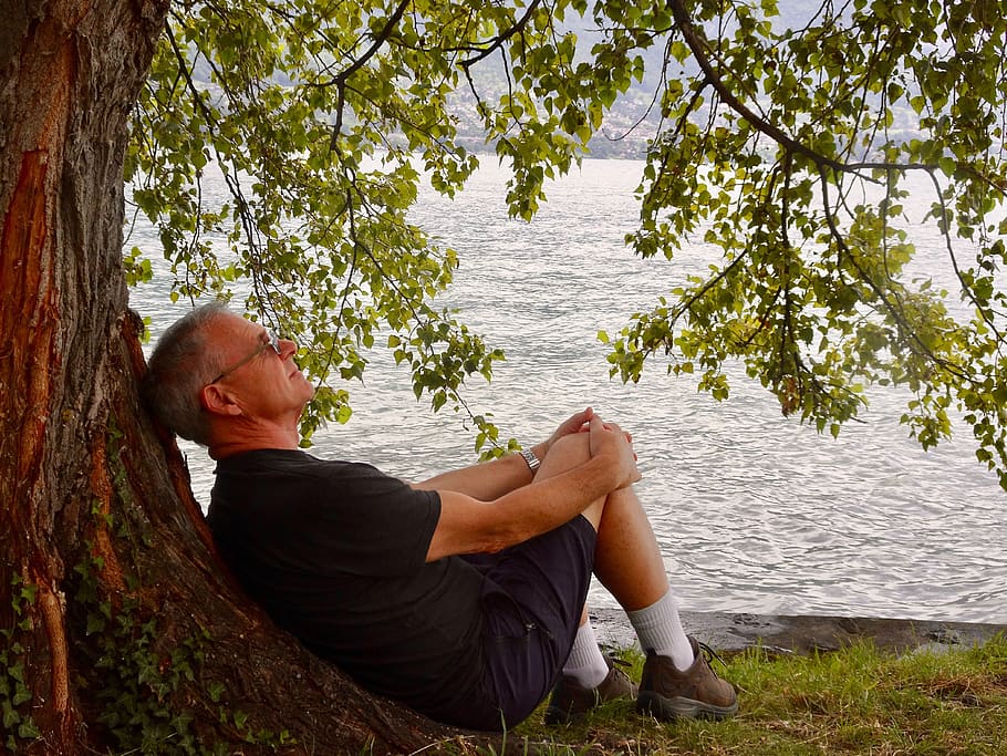 contemplation, male, person, relaxing, pensive, nature, tree, outdoors, thinking, relaxation