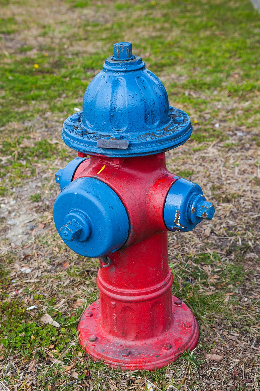 fire hydrant, blue, green, red, water, protection, metal, rescue, prevention, grass