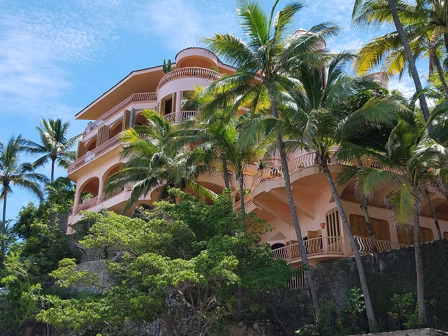 low, angle photography, beige, house, tropical, mansion, exotic, palm trees, estate, vacation