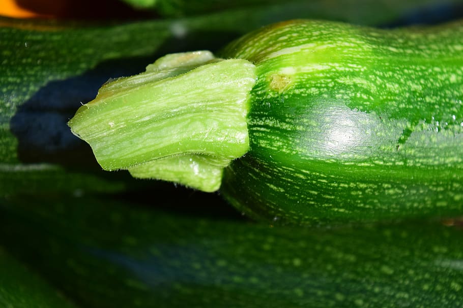 zucchini, close, vegetables, food, green, healthy, vitamins, nutrition, eat, ripe