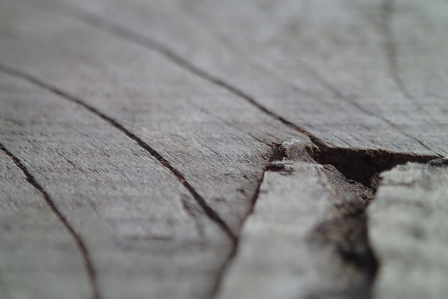 Wood, Grain, Abstract, Close Up, Texture, wood, grain, wood - Material, backgrounds, plank, pattern