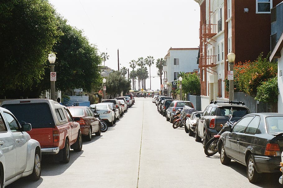 jalan, parkir, mobil, truk, sepeda motor, rumah, apartemen, gedung, pohon palem, sinar matahari