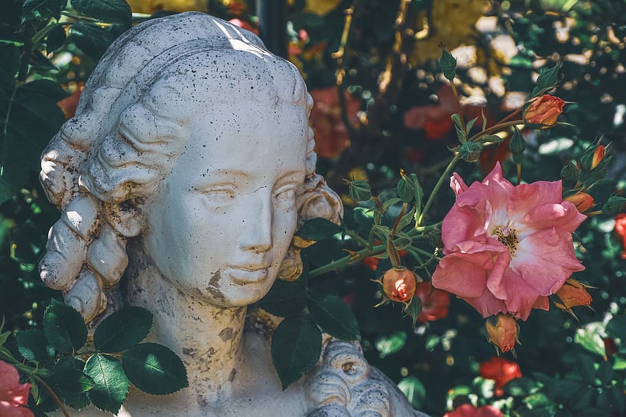 figure, statue, woman, garden, rose bush, roses, stone figure, sculpture, face, stone