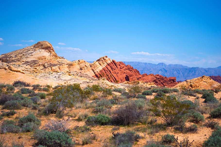 渓谷, 澄んだ, 青, 空, 火の谷, ネバダ州, 国立公園, 砂漠, 赤い岩, 風景
