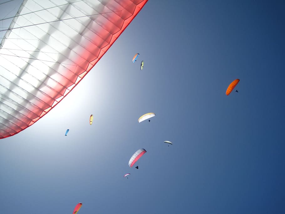 group, people parasailing, Paragliding, Freedom, Sun, sky, dom, sunny day, dream, fly