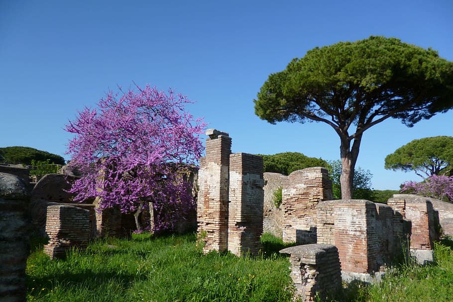 Ostia Antica, Italia, Ruinas, Historia, tiempos antiguos, romanos, viejos, arquitectura, rhaeto románico, históricamente