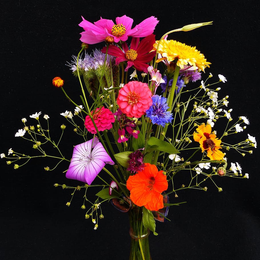 red, pink, purple, yellow, brown, pansy flower bouquet, Cosmos, Zinnia, Dianthus, brown Pansy