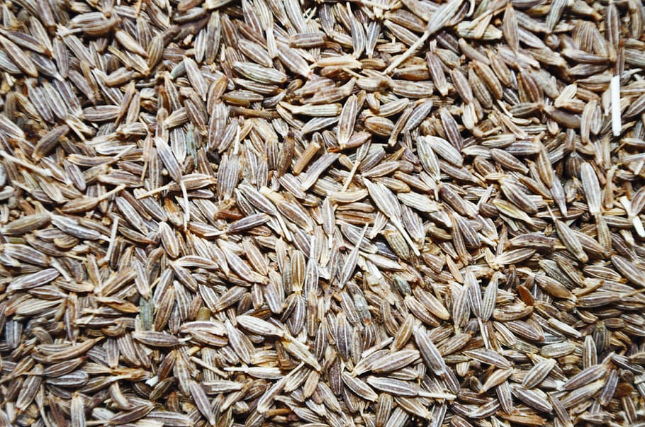seed lot, whole cumin, cumin, pepper, aromatic, full frame, large group of objects, backgrounds, food and drink, food