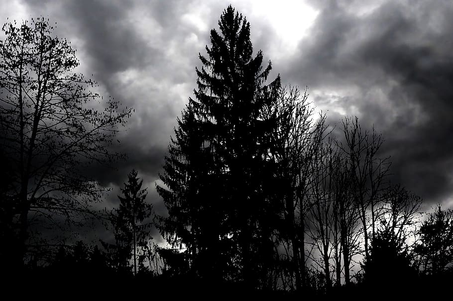 nature, night, clouds, forest, storm, sky, landscape, dark, weather, atmosphere