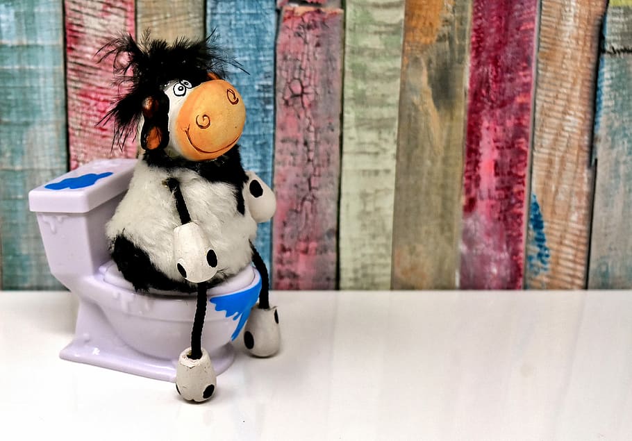 cow, sitting, flush, toilet min, miniature, surface, toilet, figure, loo, cute