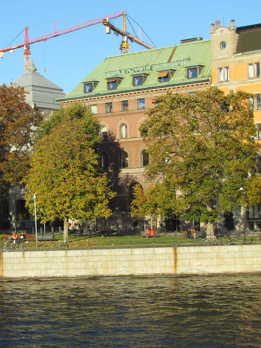 Estocolmo, Rosenbad, Arquitectura, Suecia, Skandinavia, árbol, exterior del edificio, estructura construida, ciudad, planta