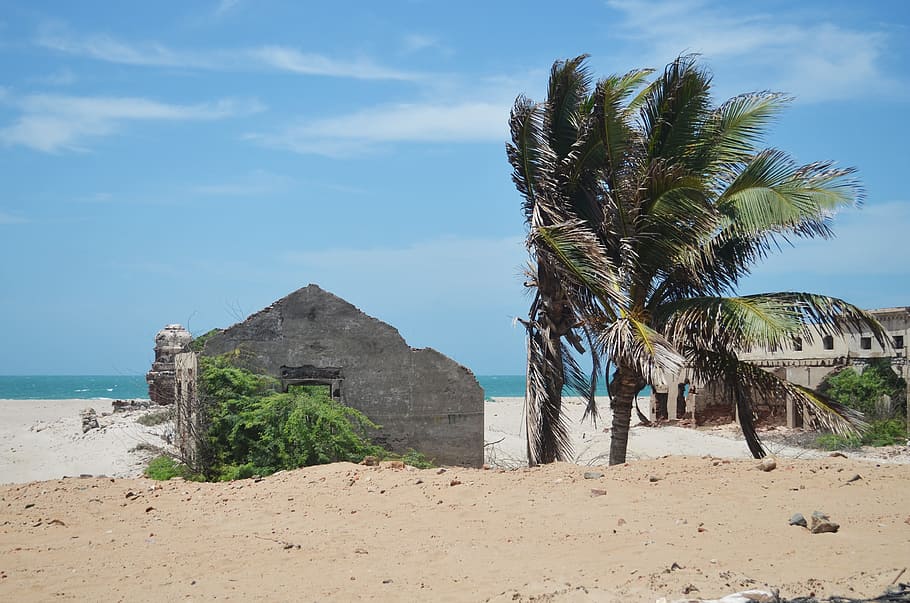 Dhanushkodi, Abandonado, Índia, Tamil Nadu, praia, areia, mar, viagem Locais, tropical Clima, palmeira