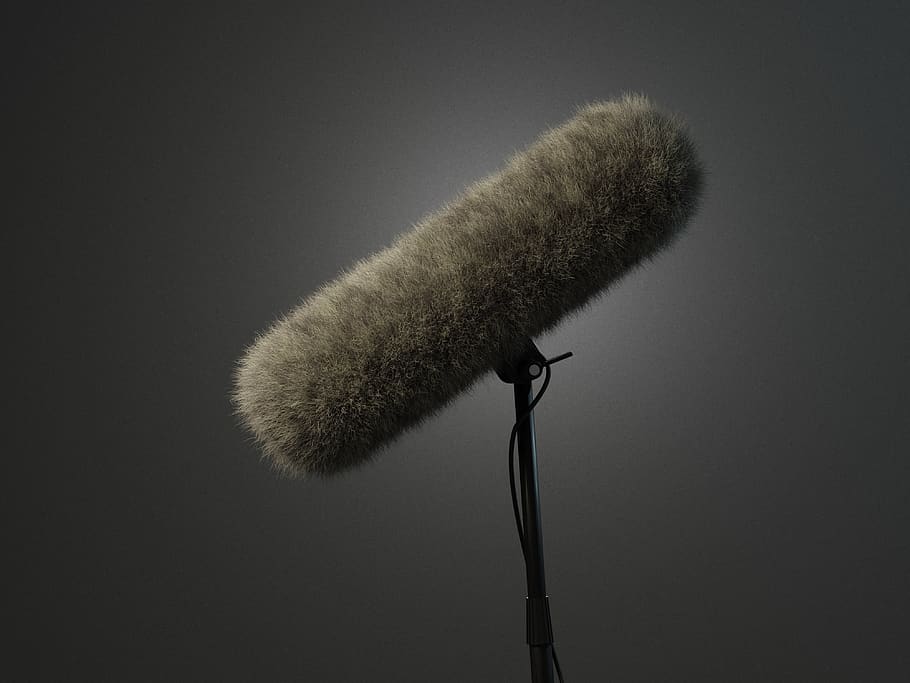 the mic, microphone, sound, film, deadcat, boom pole, tree, studio shot, plant, close-up