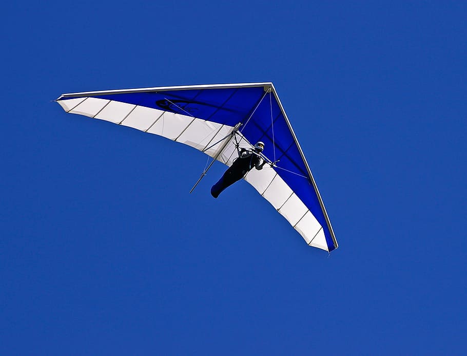 person, riding, blue, white, paraglider, clear, sky, in clear, glider, hang-glider