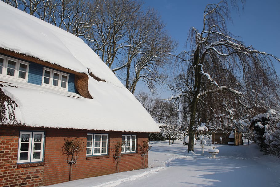 nieve, invierno, frío, magia de invierno, exterior del edificio, temperatura fría, estructura construida, arquitectura, árbol, edificio