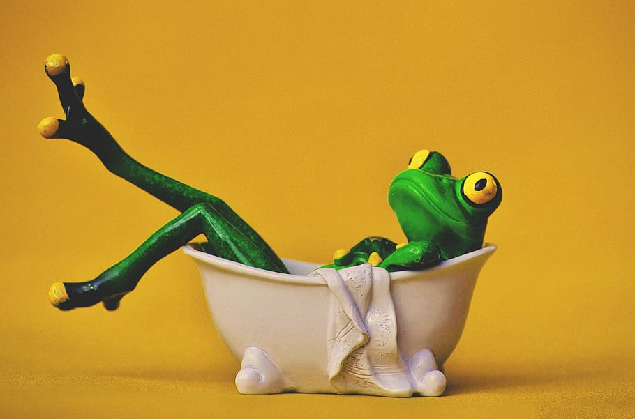 frog bathing, Frog, bathing, various, bath, bathroom, cleaning, animal, colored Background, toy