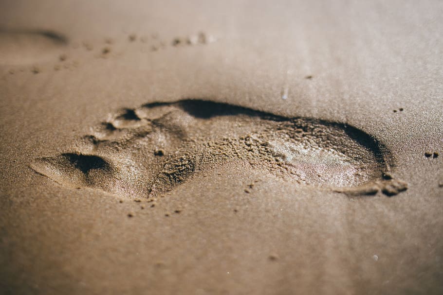 superficial, fotografía de enfoque, arena, huella, gris, humano, pie, impresiones, playa, verano