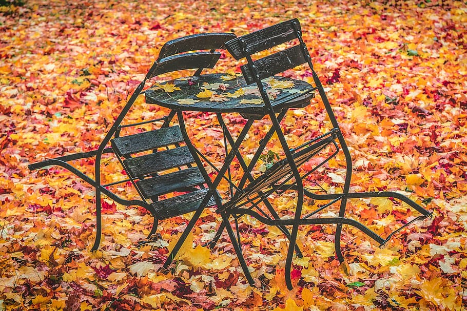 Negro, silla, inclinada, mesa, otoño, hojas, rojo, hoja, naturaleza, hojas de otoño