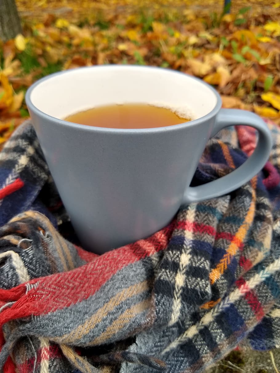 tee, cup, autumn, leaves, scarf, coffee, mug, refreshment, drink, food and drink