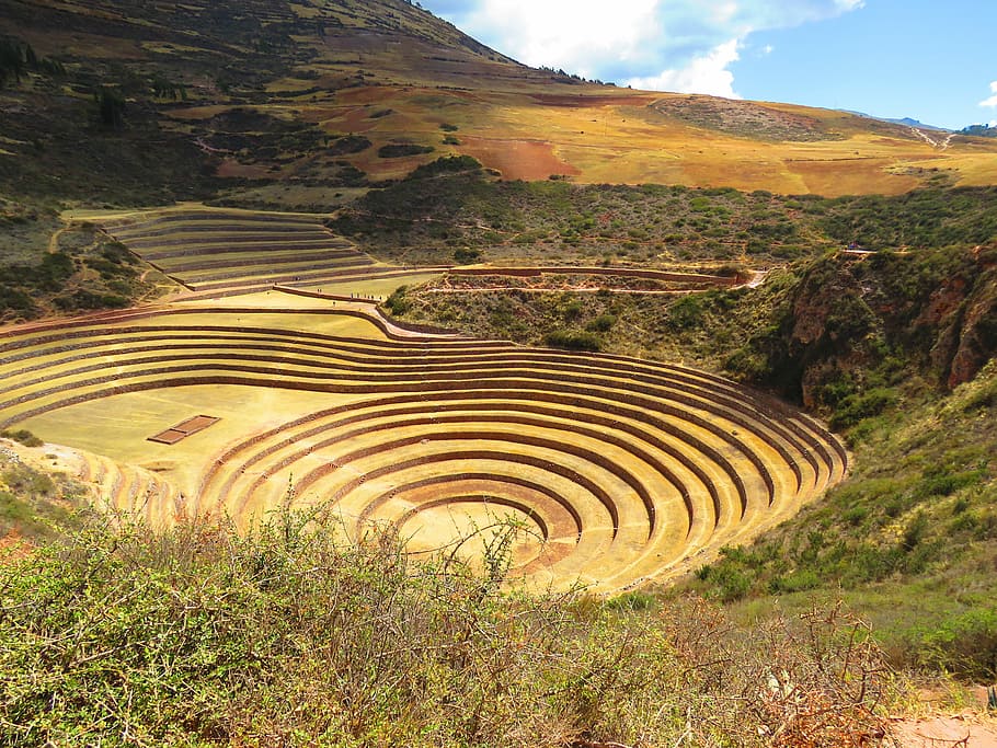 Paisaje, agricultura, terrazas, Perú, campo en terrazas, arrozal, naturaleza, asia, montaña, arroz - planta de cereales
