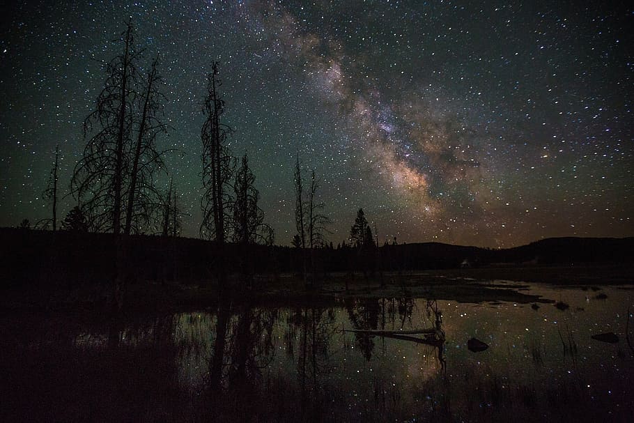 landscape photograp, trees, stars, night time, firehole lake, yellowstone national park, night, dark, starry, astronomy