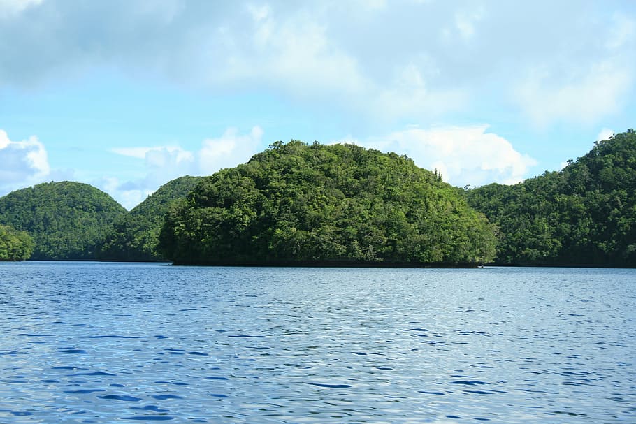 islands, water, palau, landscape, wilderness, scenery, natural, wild, outdoor, environment