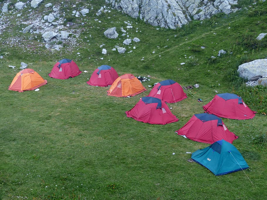 assorted-color dome tents, green, grass field, camp, camper, campground, colorful, camping, tent, campsite