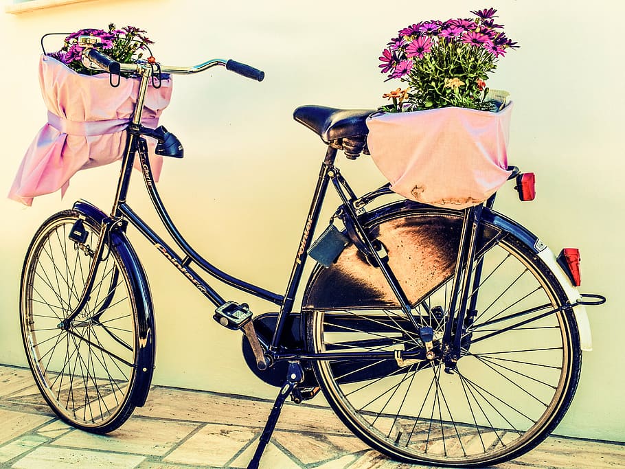 black, beach cruiser bicycle, white, wall, bicycle, flowers, basket, bike, vintage, retro