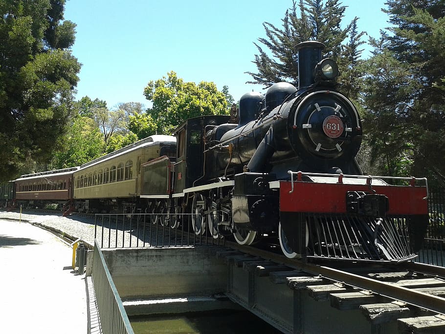 museo ferroviario, quinta normal, santiago, transporte ferroviario, tren, tren - vehículo, árbol, transporte, naturaleza, día