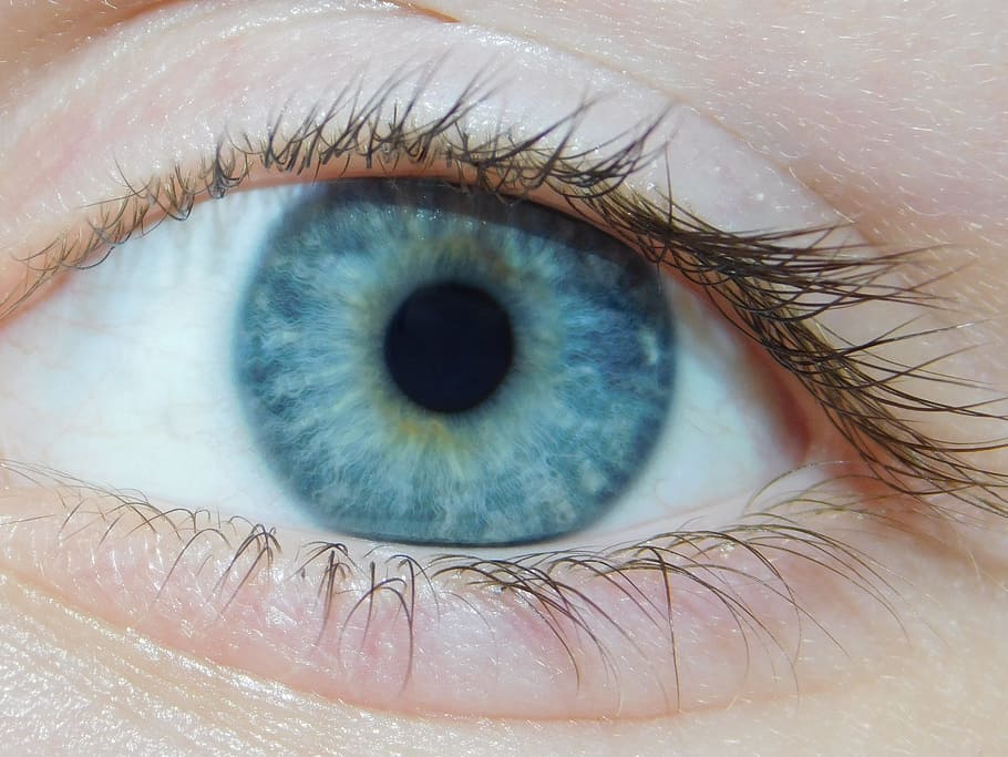 blue, eye, blue eyes, face, female, woman, girl, young, white, macro