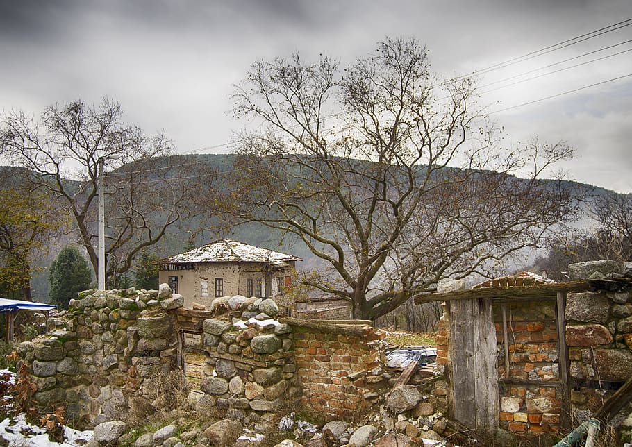 bulgaria, vlahi, pirin mountains, village, yani sandanski, ellen stone, village house, winter, leaf barren trees, rock wall