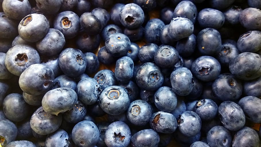 bunch of blueberries, life, beauty, scene, health, wellbeing, wellness, berries, blueberries, fruit