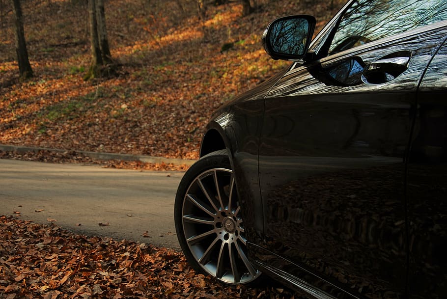 close-up photo, black, mercedes-benz vehicle, road, trees, daytime, auto, autumn, benz, luxury car