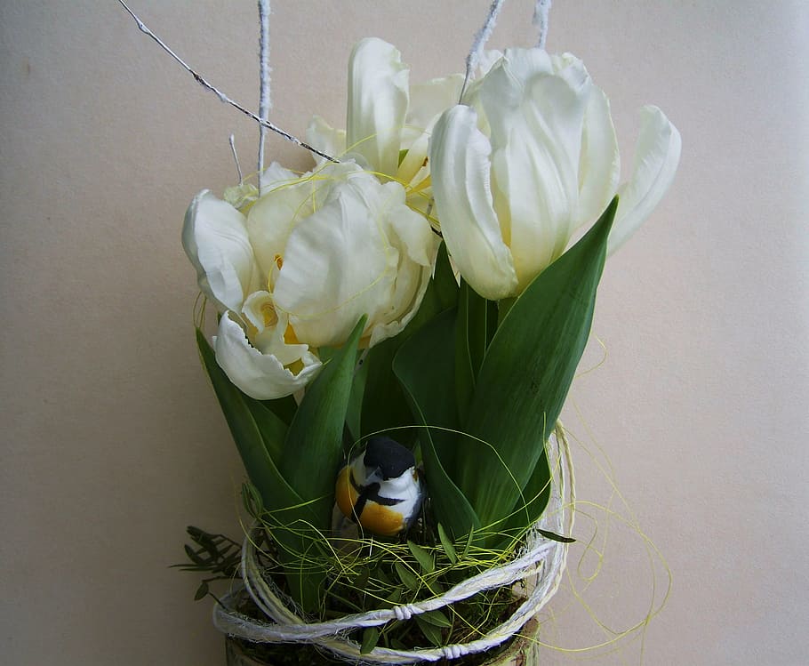 white tulips, bulbous plant, spring flower, decoration, nature, bouquet, bird, flower, flowering plant, plant