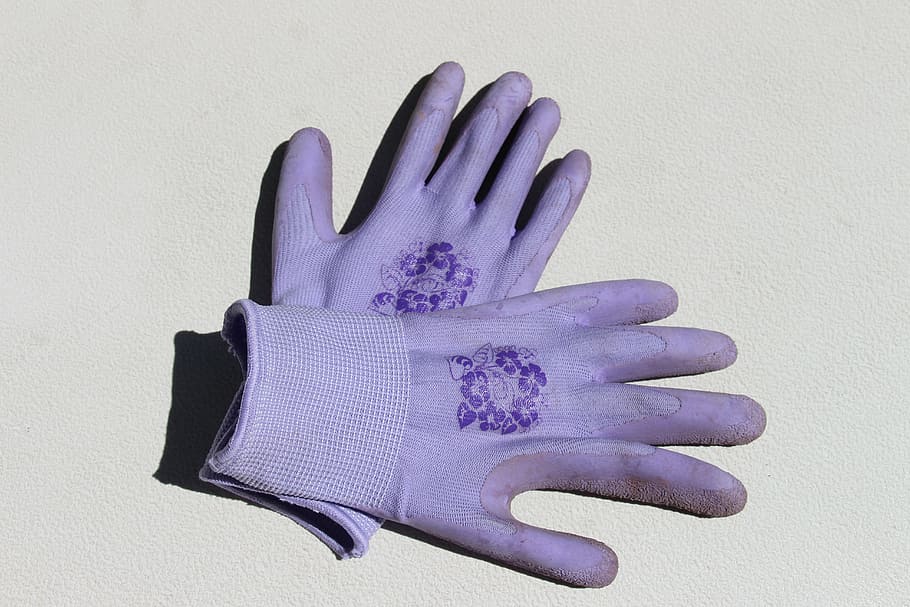 guantes de jardinería, púrpura, guantes, trabajo, jardinería, dedo, mano, sucio, guante, jardín