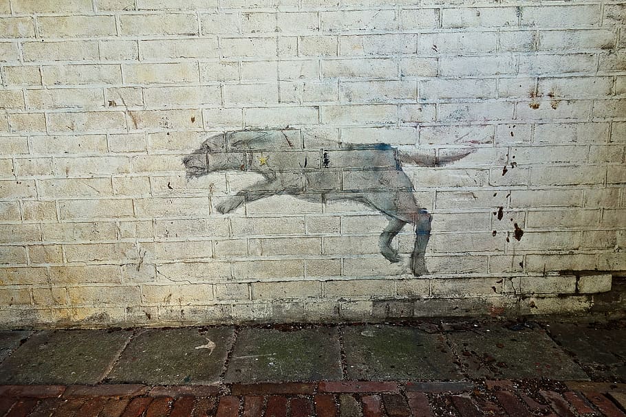 dinding, grafiti, seni jalanan, cat, semprot, gambar, anjing, anjing melompat, serangan, bintang Yahudi