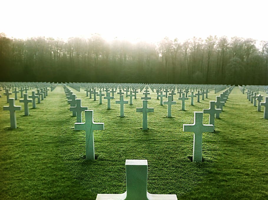 fotografía de cementerio, cementerio, soldado caído, tumba, cruz, lápida, memorial, en una fila, hierba, árbol