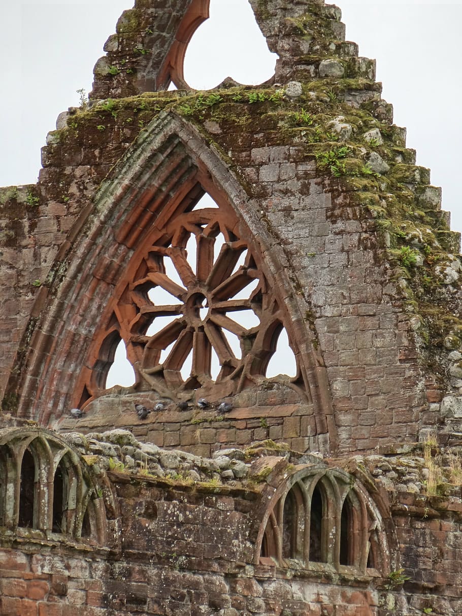kehancuran, reruntuhan gereja, gothic, bangunan, gereja, sejarah, skotlandia, arsitektur, pembusukan, katedral