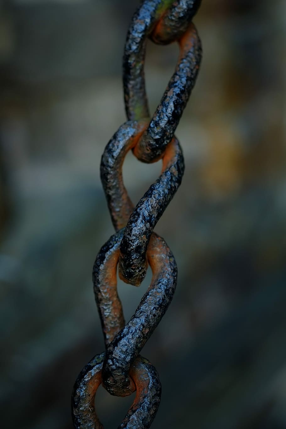 Chain, Metal, Steel, links of the chain, chain link, stainless, iron, connection, rusty, members