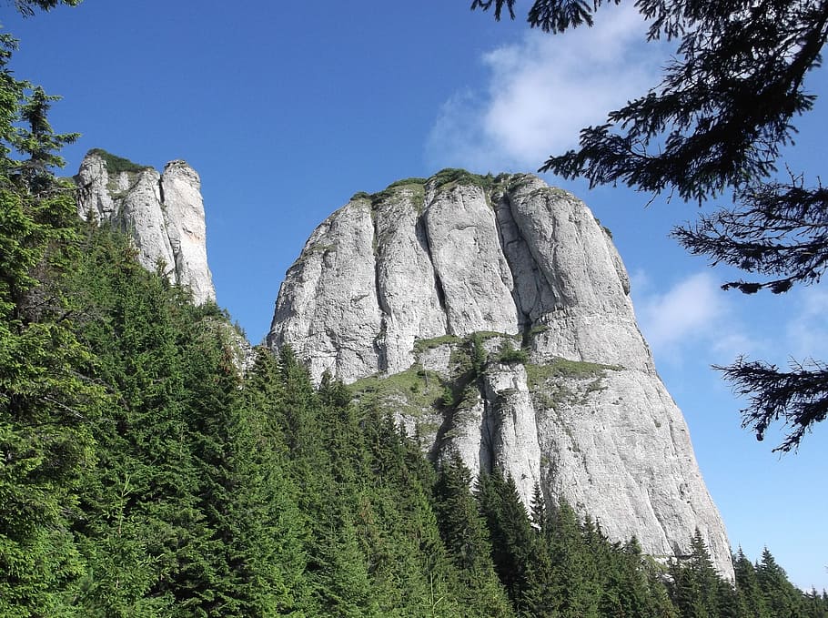fotografía de ángulo bajo, bosque, montaña, durante el día, piedra, rumania, turismo, viajes, paisaje, naturaleza